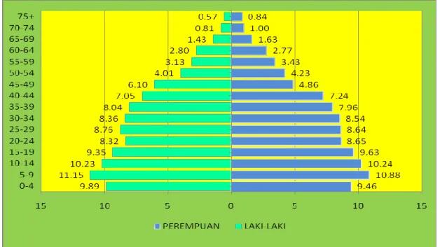 Gambar : 2.2  Piramida penduduk  Provinsi Gorontalo Tahun 2012 