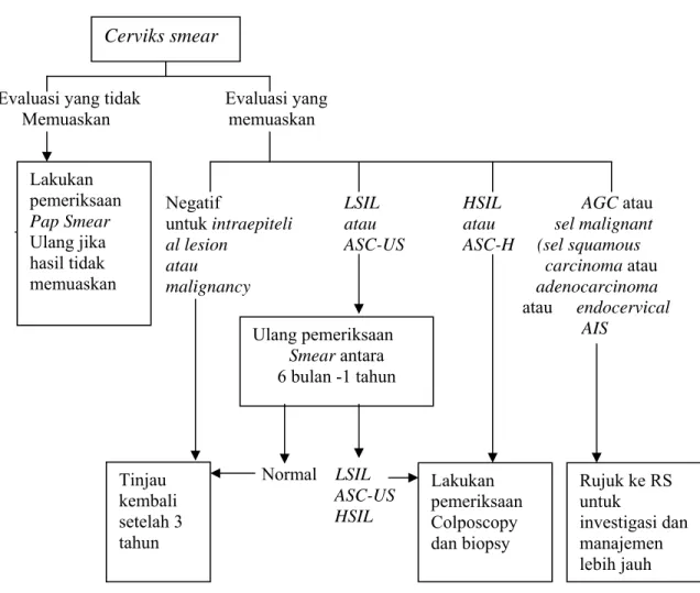 Gambar 2.1. Alur Penatalaksanaan Hasil Pap Smear. 