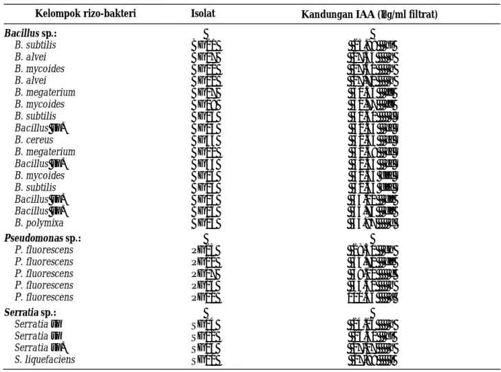 Tabel 1.  Kemampuan berbagai isolat rizo-bakteri dari kelompok Bacillus sp., Pseudomonas sp., atau Serratia sp