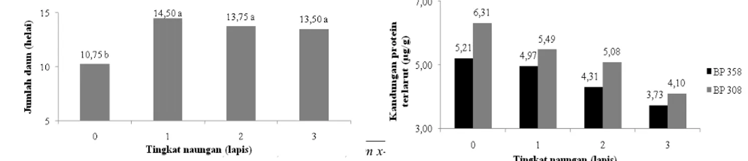 Gambar 4. Pengaruh tingkat naungan terhadap kandungan total klorofil daun, angka yang diikuti huruf sama menunjukkan berbeda tidak nyata pada uji jarak berganda Duncan 5%.