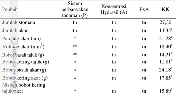 Tabel 5. Rekapitulasi sidik ragam pengamatan fisiologi bibit kopi pada 28  MSP  Peubah  Sistem  perbanyakan  tanaman (P)  Konsentrasi 