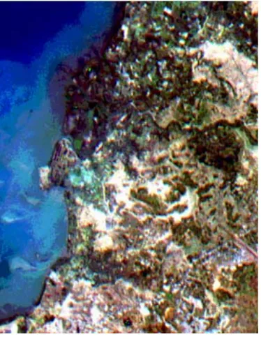 Figure 3. Landsat ETM7 image of false color composite (band-1, band-2, band-3) in year
