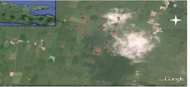 Gambar 5. Peta lokasi sumur­sumur tua peninggalan Belanda di Desa Metatu yang diteliti sebanyak 36 sumur dan be­ berapa sumur diambil percontoh gas, air, dan minyak mentahnya.