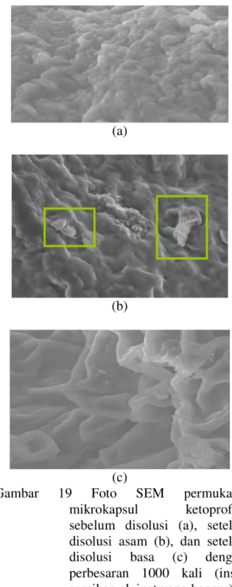 Foto  SEM  terhadap  mikrokapsul  ketoprofen  yang  sama  dengan perbesaran  yang  lebih  tinggi  menunjukkan adanya retakan  yang  dangkal  di  permukaan  mikrokapsul  (Gambar  18)