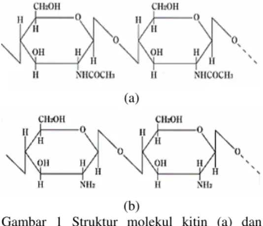 Gambar  1  Struktur  molekul  kitin  (a)  dan  kitosan (b) (Thatte 2004). 