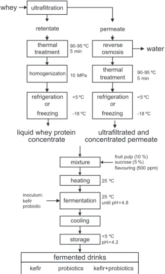 Fig. 1. Process diagram for the production of fermented drinks  from whey