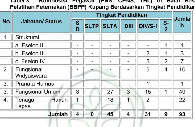 Tabel 3.  Komposisi  Pegawai  (PNS,  CPNS,  THL)  di  Balai  Besar  Pelatihan Peternakan (BBPP) Kupang Berdasarkan Tingkat Pendidikan  No