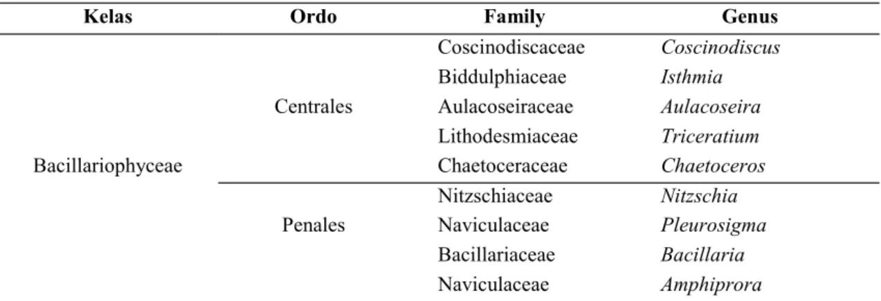 Tabel 3. Klasifikasi Diatom yang ditemukan di perairan Pulau Topang 