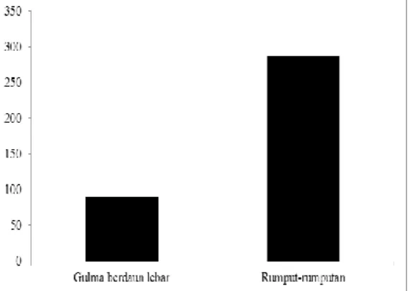 Tabel  2.  Famili  Dominan  dan  Co-dominan  Gulma pada Pertanaman jagung   