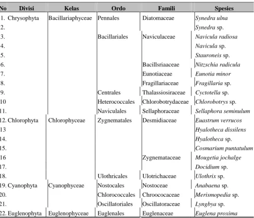 Tabel 5.1  Spesies fitoplankton di Sungai Panjaratan, Kabupaten Tanah Laut 
