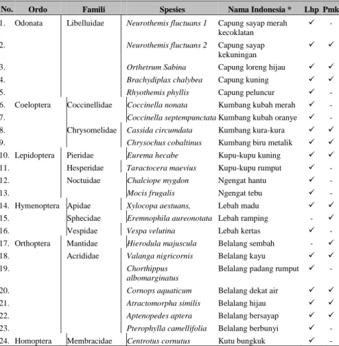 Tabel 6.1  Spesies insekta di Desa Panjaratan, Kabupaten Tanah Laut 