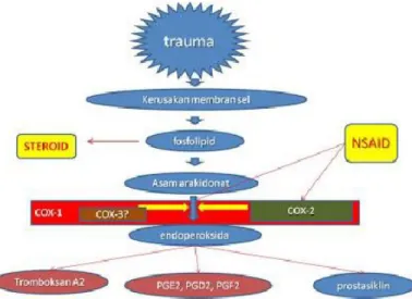 Gambar 1. Biosintesis prostaglandin