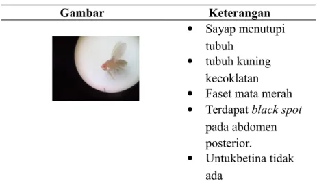 Gambar Keterangan