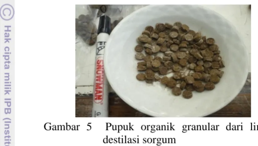 Gambar  5    Pupuk  organik  granular  dari  limbah  destilasi sorgum 