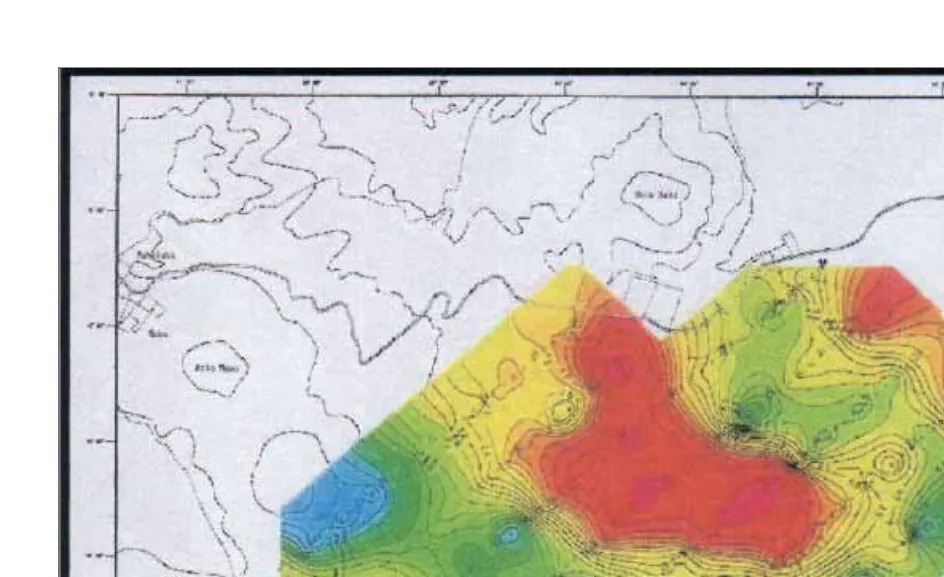 Gambar 3. Peta Tahanan Jenis Dua Dimensi Kedalaman 100 m daerah Panas bumi Daratei Todabelu Mataloko 