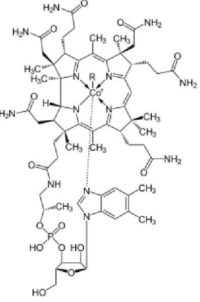 Gambar 1. Struktur Kimia Kobalamin 