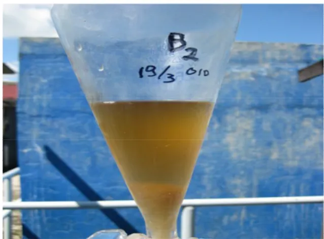 Gambar  4  menunjukkan  bioflok  yang  mengendap  di  tabung  imhoff  cone  setelah  air  didiamkan sekitar 15-30 menit