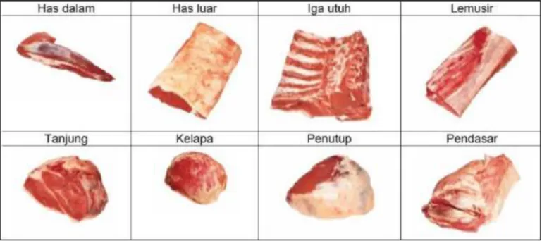 Gambar 1. Bagian Karkas Sapi