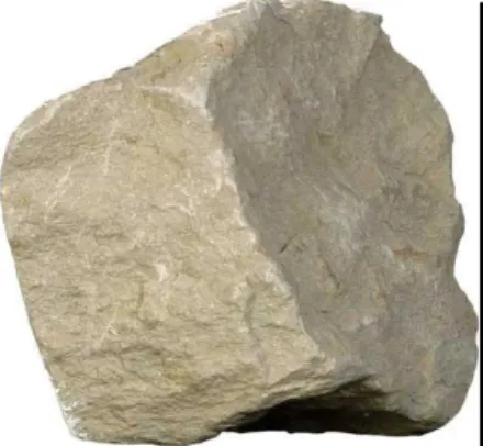 Gambar 3. Mudstone
