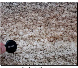 Gambar 6. Grainstone