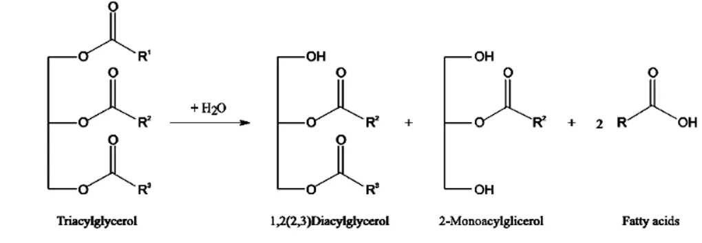Gambar 3. Mekanisme hidrolisis spes (Carvalho et al.