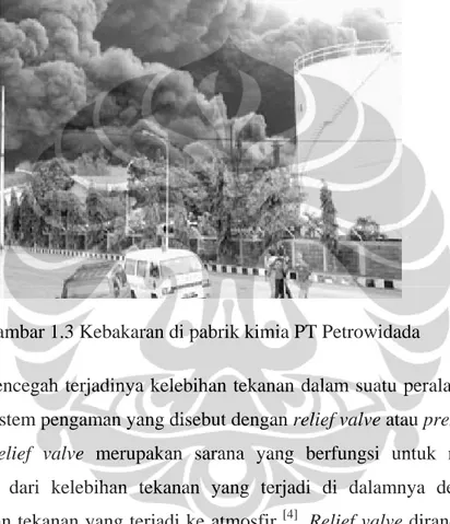 Gambar 1.3 Kebakaran di pabrik kimia PT Petrowidada 