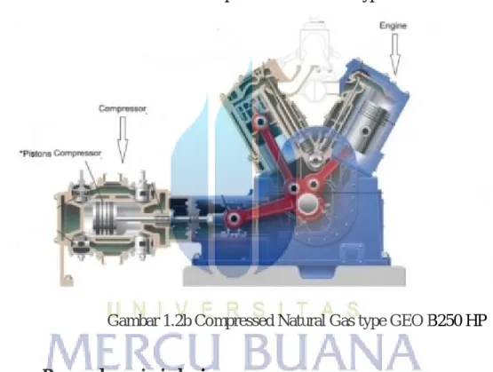 Gambar 1.2b Compressed Natural Gas type GEO B250 HP 