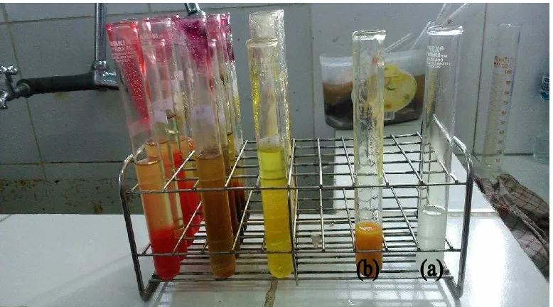 Gambar 1. Proses Pemanasan sampel di penangas air (waterbath) 