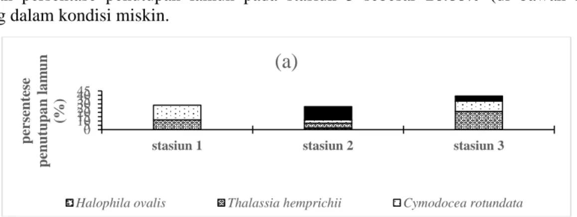 Tabel 1. Jenis- jenis lamun yang ditemukan pada masing-masing stasiun 