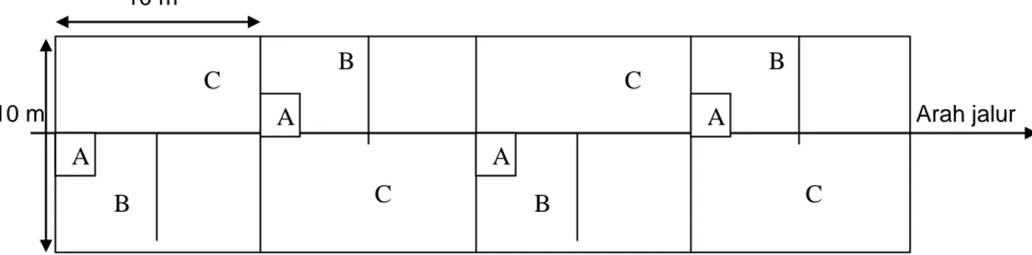Gambar A.1 — Desain unit contoh pengamatan vegetasi di lapangan dengan   metode jalur 10 m  Arah jalur A B C A B C A B C A B C 10 m 