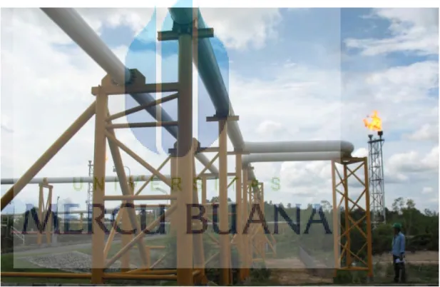 Gambar 9. Elevated Flare 