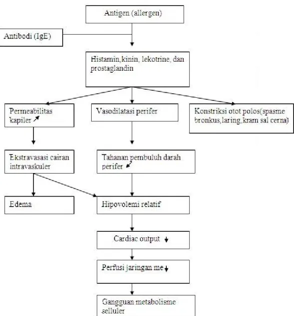 Gambar 3. Bagan Patogenesis Syok Anafilaktik II.5.4 Manifestasi Klinis
