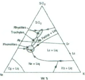 Gambar 11.8. Diagram Fase dari batuan beku asam (lewat jenuh silika) 