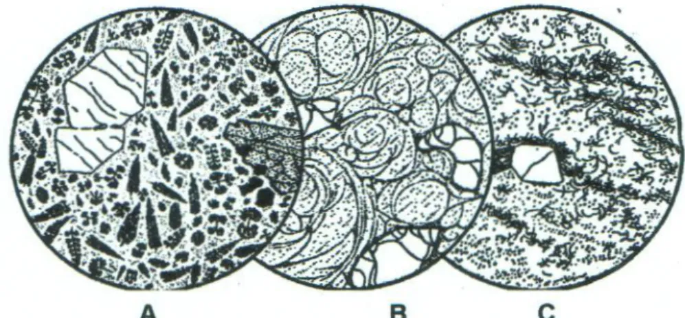 Gambar II. 13. Tekstur batuan Beku 