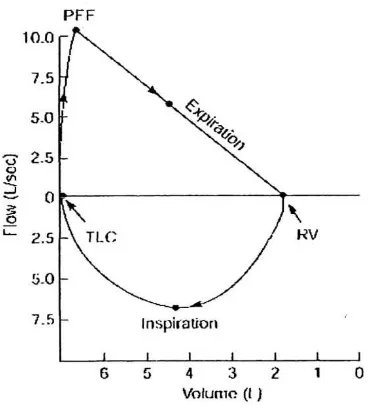 Gambar 2.1. Spirometri normal (Shifren, 2006) 