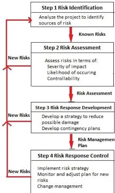 Gambar 1. Risk Management Process 