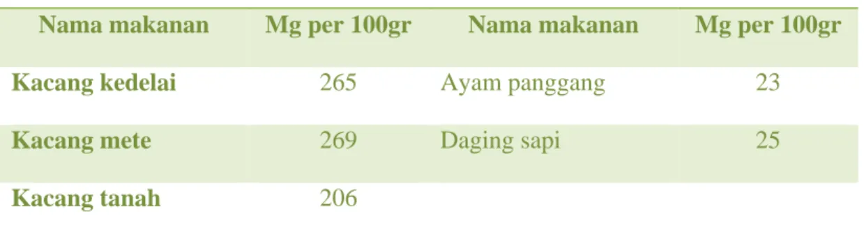 Tabel 09. Kandungan magnesium pada beberapa makanan 