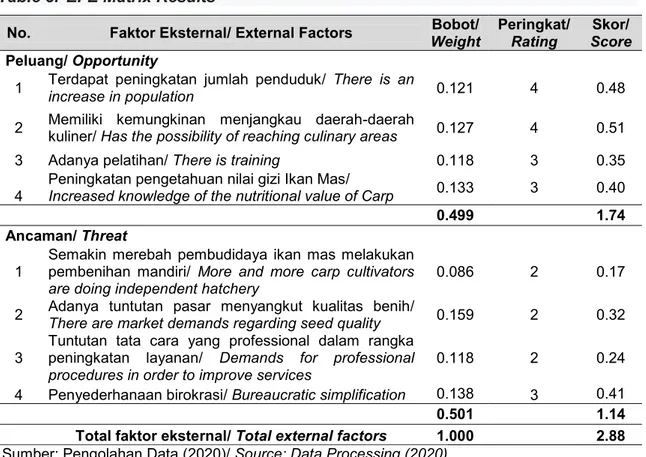 Table 3.  EFE Matrix Results 