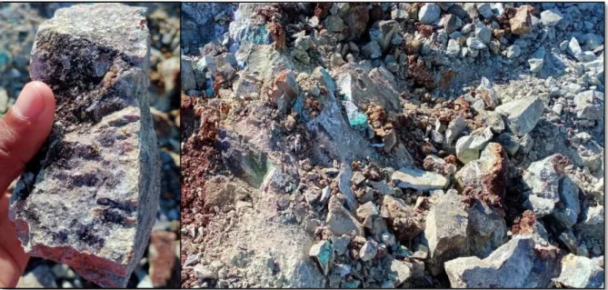 Gambar 4. Batuan ultrabasa jenis peridotit penyusun area penelitian IUP PT. PMS daerah Pomalaa.