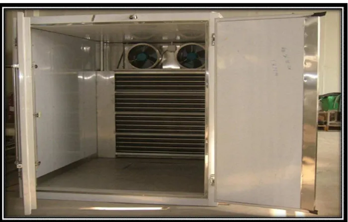 Gambar 5. Contoh Gudang Beku (Cold Storage) Skala Kecil < 20 Ton 