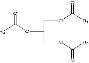 Gambar 2.1. Struktur Trigliserida (Silalahi, 2002) 