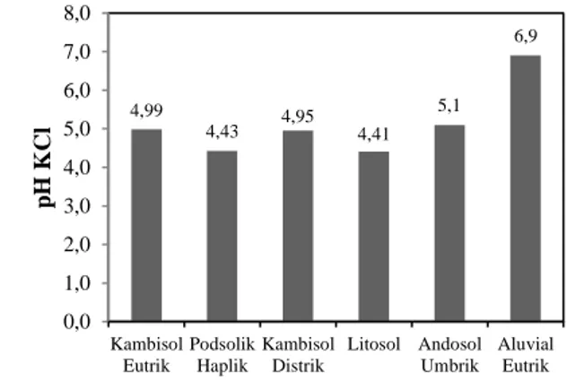 Tabel  2.  Nilai  pH  H 2 O  dan  pH  KCl  pada  setiap  jenis  tanah  di  lahan  kering  Kabupaten Aceh Besar  