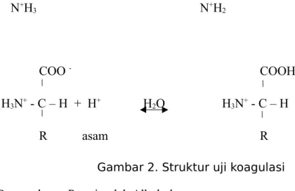 Gambar 2. Struktur uji koagulasi Tabel 4. Pengendapan Protein oleh Alkohol