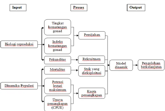 Gambar 3. Bagan alir penelitian 