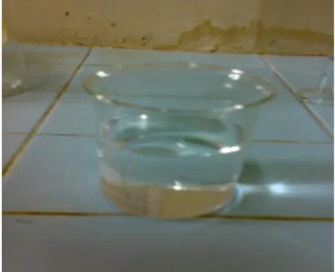 Gambar C.5 Neraca Digital 