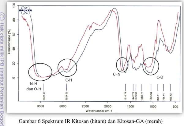 Gambar 6 Spektrum IR Kitosan (hitam) dan Kitosan-GA (merah) 