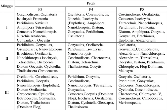 Tabel 2. Pengamatan Plankton di Tambak Udang Vaname 