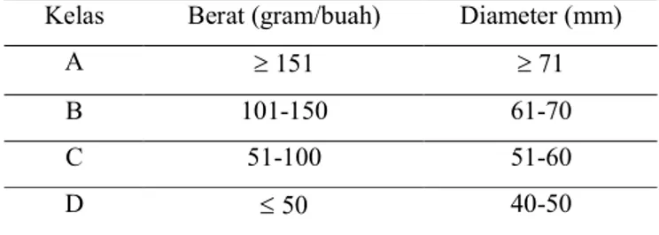 Tabel 3  Kriteria kelas jeruk keprok, termasuk jeruk siam (SNI 01-3165-1992)  Kelas  Berat (gram/buah)  Diameter (mm) 