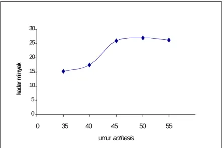 Gambar 3. Rata-rata kadar minyak pada berbagai umur setelah anthesis