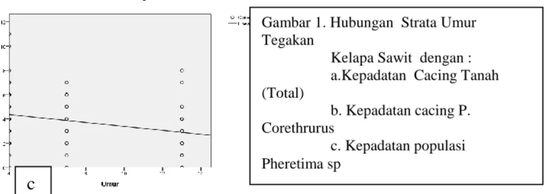 Gambar 1. Hubungan  Strata Umur  Tegakan   